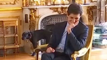Pes francouzského prezidenta se při schůzce vymočil na krb, video baví internet