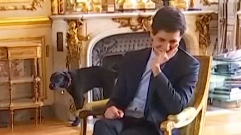 Pes francouzského prezidenta se při schůzce vymočil na krb, video baví internet