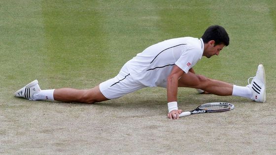 Novak Djokovič dělal pro úspěch někdy i nemožné. To podle svých slov Tomáš Berdych nedokázal, a proto prohrál.