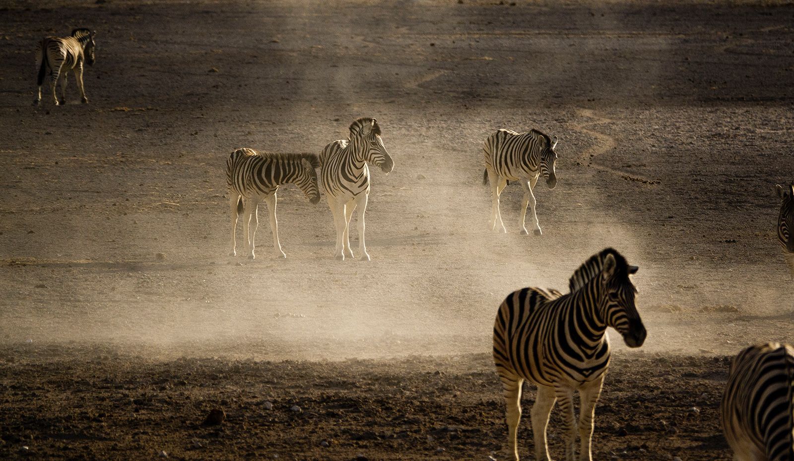 Fotografie Chrise Schmida z Namibie