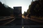 Video: Na dálnici D1 se procházeli koně. Využili k tomu pravý jízdní pruh