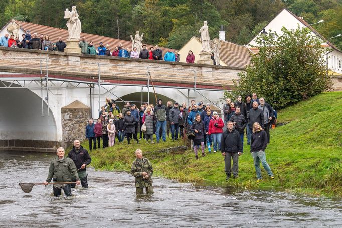 Roman Franc fotí skupinový portrét, Náměšť nad Oslavou, 5. října 2024