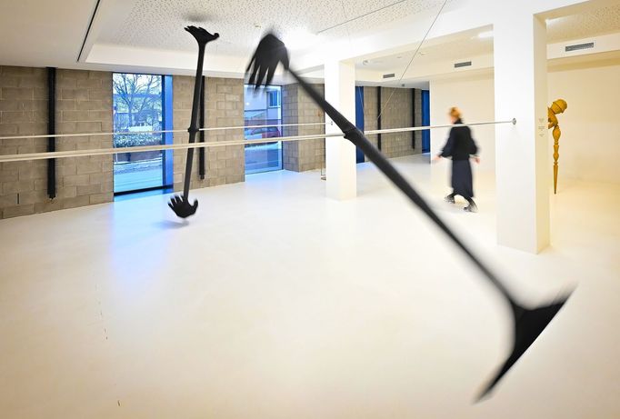 Snímek z výstavy děl Pavly Scerankové v humpolecké 8smičce.