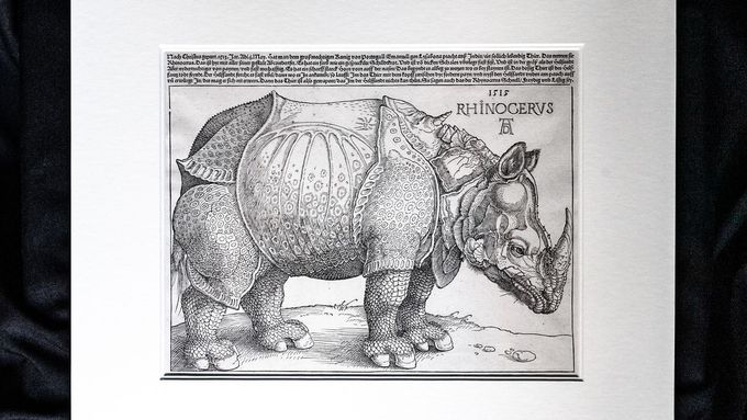 Dřevořez s názvem Nosorožec z roku 1515 není přesným vyobrazením skutečného nosorožce, neboť jeho autor, malíř Albrecht Dürer, ho nikdy neviděl.