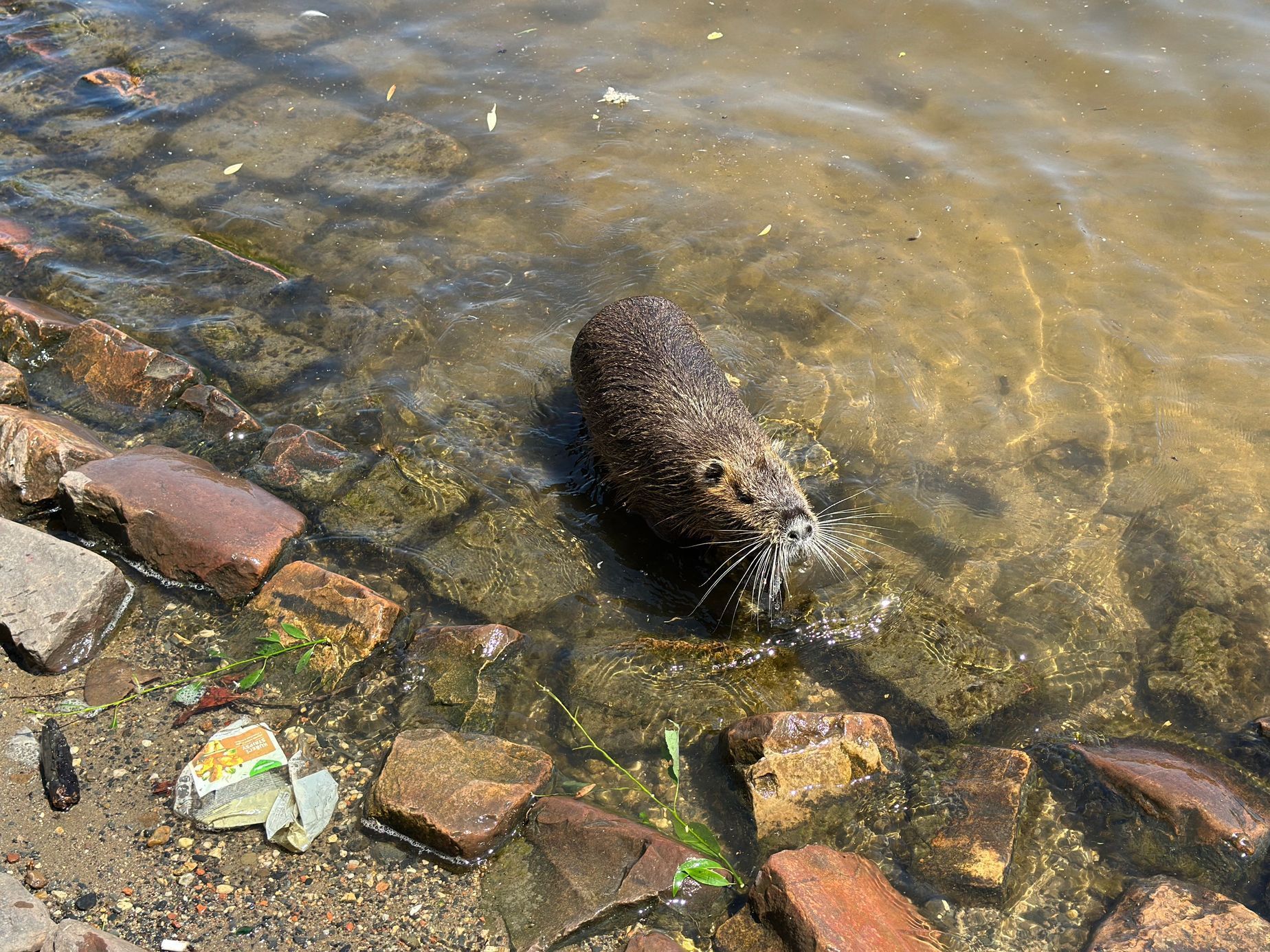 Workshop Jana Šibíka