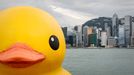 The 16.5-metre-tall inflatable Rubber Duck art installation is seen at the Victoria Harbour in Hong Kong on May 2, 2013. The inflatable duck by Dutch artist Florentijn Hofman will be on display in the former British colony until June 9.