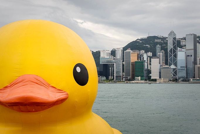 The 16.5-metre-tall inflatable Rubber Duck art installation is seen at the Victoria Harbour in Hong Kong on May 2, 2013. The inflatable duck by Dutch artist Florentijn Hofman will be on display in the former British colony until June 9.