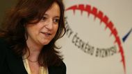 V kategorii nejlepších velkých podniků se umstily na prvních třech místech: ABB s.r.o. (roční obrat 6,5mld., zisk 579mil. Kč), Zentiva a.s. (jako jediní převzali ocenění) a Philip Morris ČR a.s.