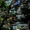 Greenpeace: obsazení těžních věží ve Frenštátu