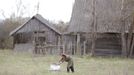 A Belarussian villager pushes a trolley containing products purchased from a mobile shop on the eve of Radunitsa in the abandoned village of Tulgovichi