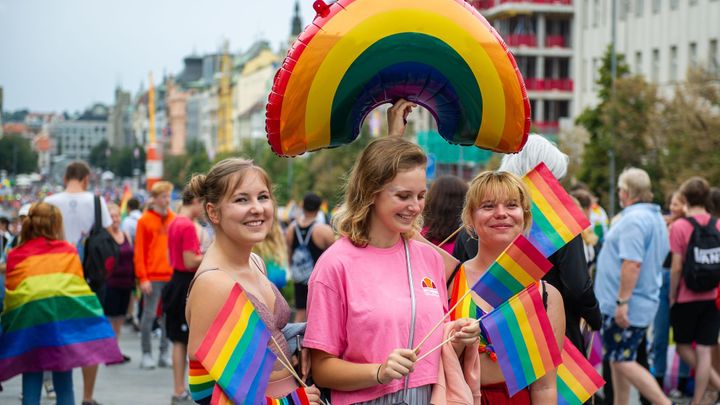 Rozpolcené strany. Sňatky homosexuálů mají příznivce v pěti klubech, stačit to nemusí; Zdroj foto: Radek Vebr