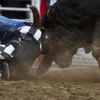 Obrazem: Vězeňské rodeo v USA