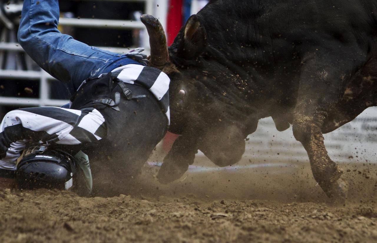 Obrazem: Vězeňské rodeo v USA