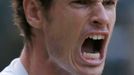 Andy Murray na Wimbledonu 2013