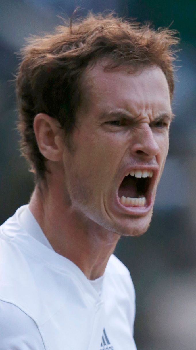 Andy Murray na Wimbledonu 2013