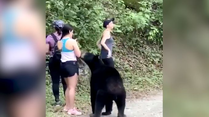 Na dívku skočil medvěd. Stihla si s ním vyfotit selfie