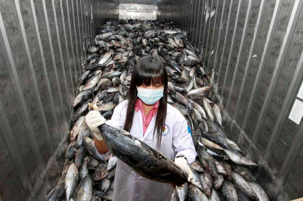 Potraviny z Japonska - ryby