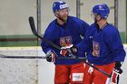 Čeští hokejisté podle statistiků z PwC ovládnou domácí MS