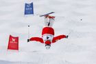 Akrobatické lyžování na olympiádě