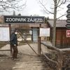 Zoopark Zájezd u Kladna, soukromá zoo, zvířata, chameleon, lemur
