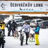 Šediváčkův long 2025