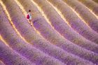 Opojná krása levandulových polí. Velká fotogalerie a tipy na nejhezčí místa v Provence