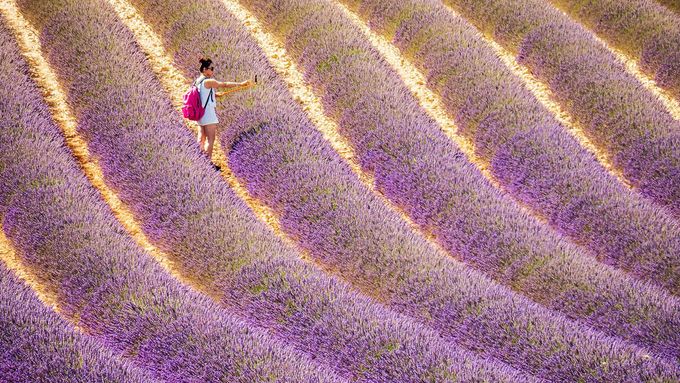 Pokud chcete vidět levandulová pole v Provence, začátek prázdnin je ideální doba.