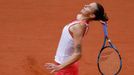 Karolína Plíšková v prvním kole French Open 2020