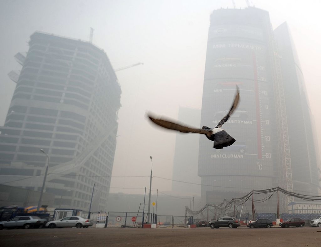 Foto: Podívejte se, jak smog zahaluje život ve městech - Rusko