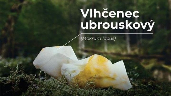 Horší než Trautenberk, zlobí se Krakonoš. Národní park vsází na kampaň proti odpadkům