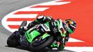 Oliver König na Kawasaki, MS superbiků 2023