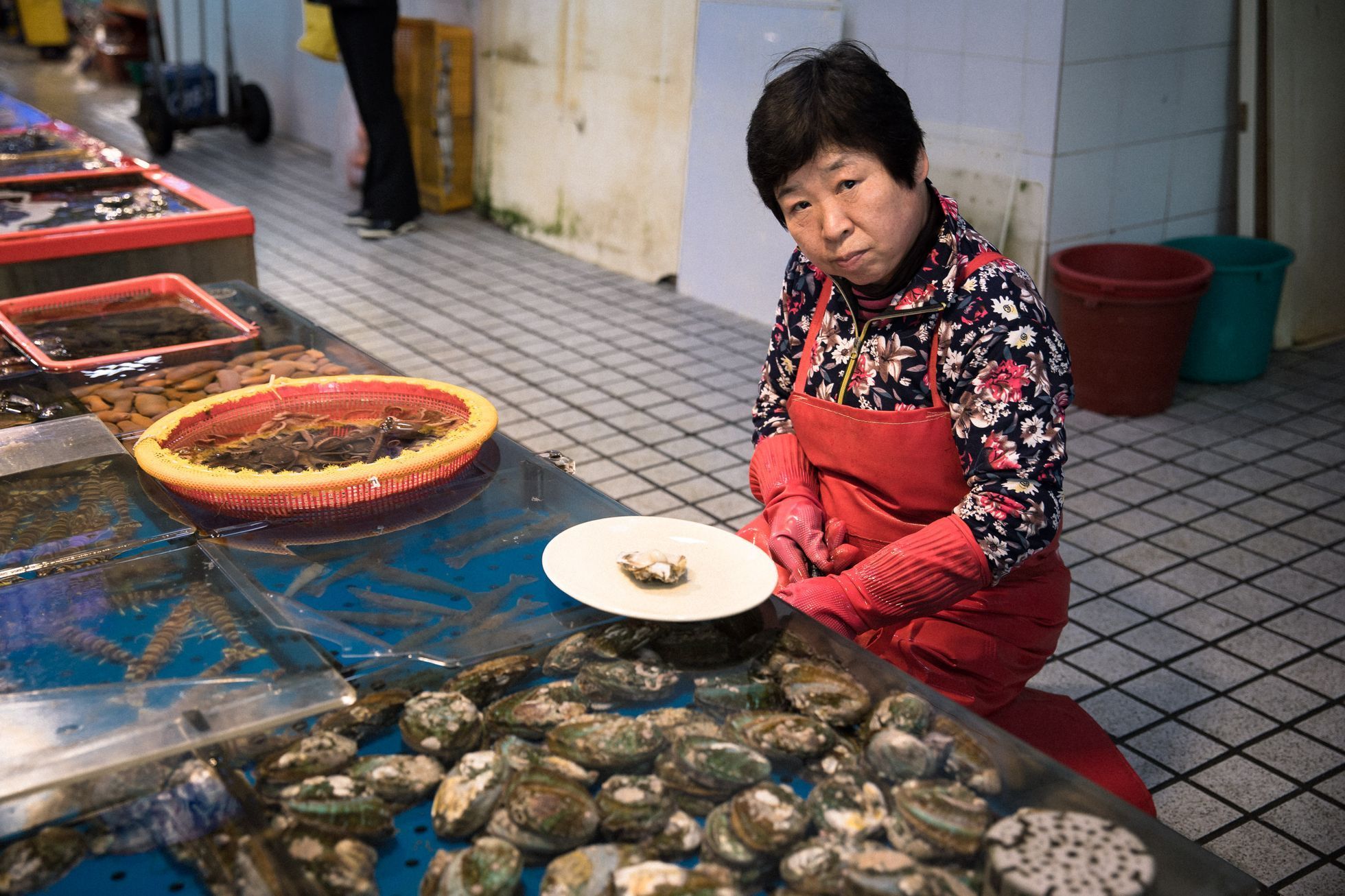 Busan / Pusan, Jižní Korea, Expo 2030