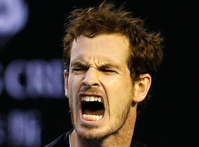 Andy Murray na Australian Open 2016