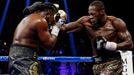 Deontay Wilder vs. Bermane Stiverne