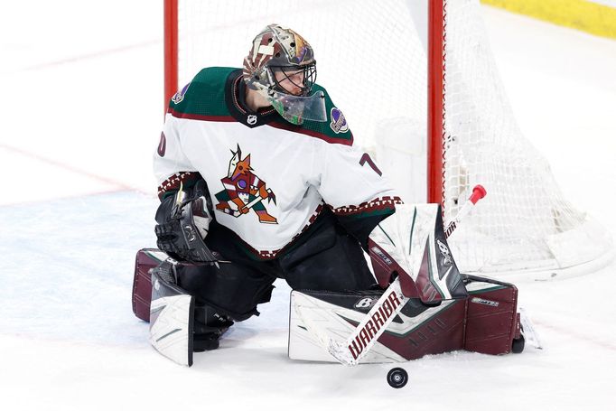 Brankář týmu NHL Arizona Coyotes Karel Vejmelka