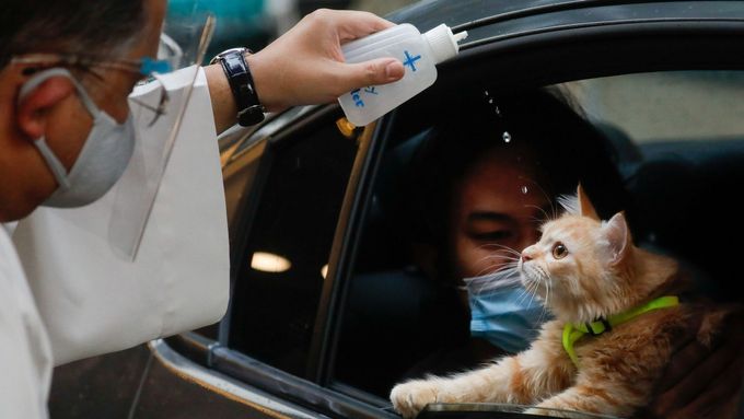 Katolický kněz ve filipínské Manile vyšel před kostel, aby kočky, psy či ptáky sedící v autech pokropil svěcenou vodou z bezpečné vzdálenosti.
