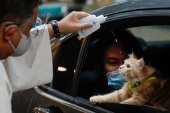 Faráři požehnali kočkám i psům. Kvůli koronaviru byli mazlíčci jen v autě