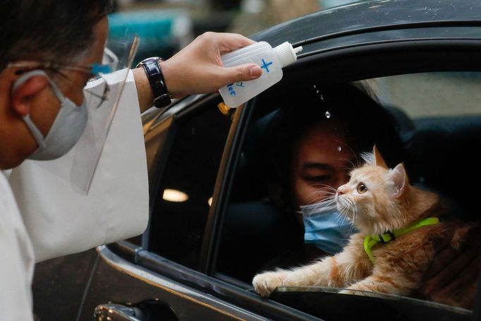 Svěcení domácích mazlíčků, Mezinárodní den zvířat, Filipíny, Manila