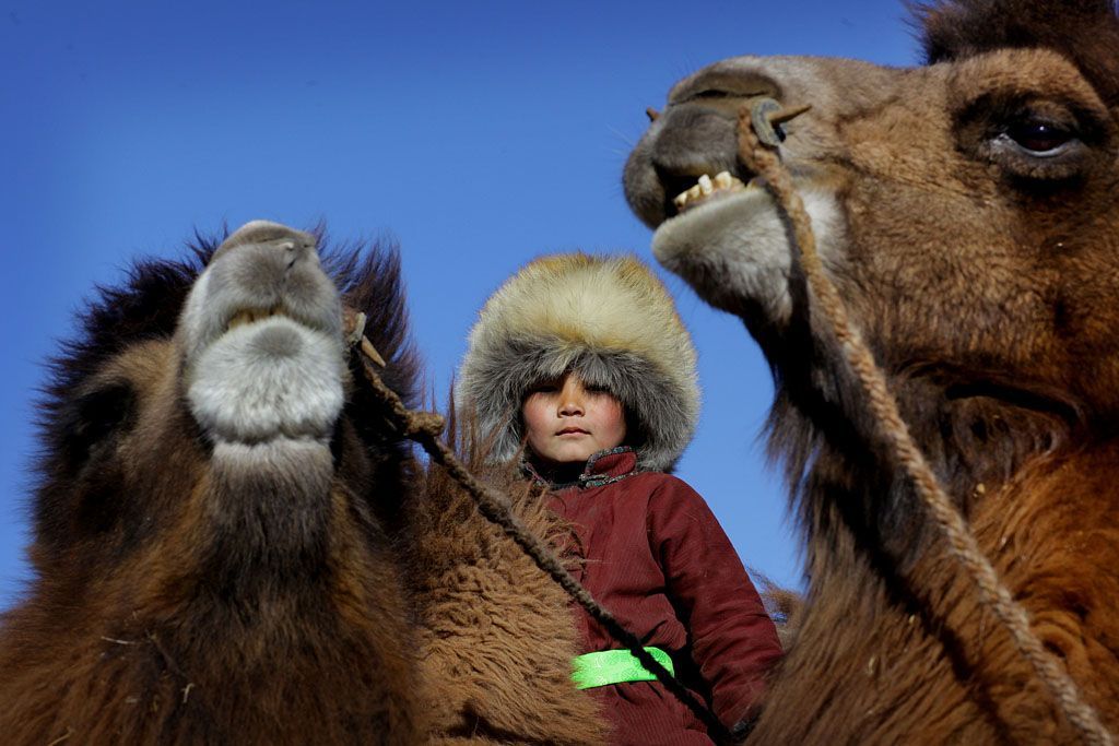 Foto: Překrásné fotografie světa od BBC /// Nepoužívat ve článcích! ///
