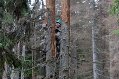 Aktivisté nabídli Stráskému pomoc při výsadbě stromků