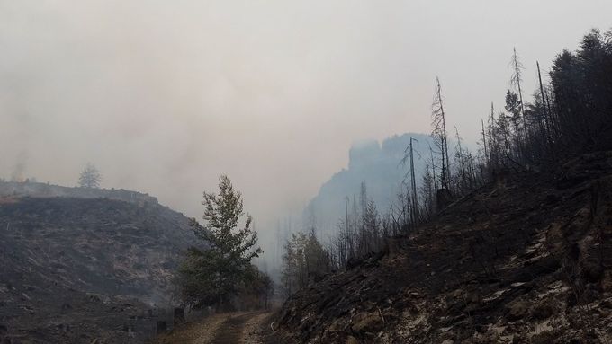 Od Malinového po Pravčický důl. Záběry ukazují spálená místa, kudy se šířil oheň v národním parku.