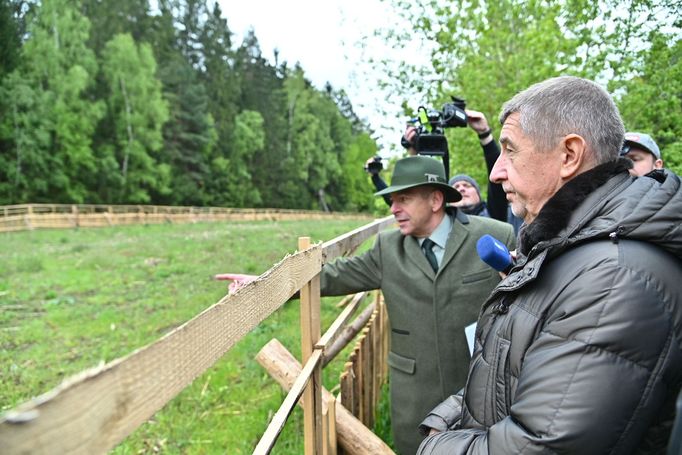 Premiér Andrej Babiš a ministryně financí Alena Schillerová si 15. května 2019 v lokalitě Bílovna nedaleko Bernartic prohlédli lesy zasažené kůrovcem.