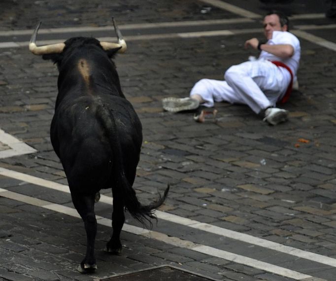 A runner falls in front of Fugado (Runaway), a 545 kg (1200 lb) Cebada Gago fighting bull, on Santo Domingo street during the third Encierro (Running Of The Bulls) at the San Fermin festival in Pamplona July 9, 2012. Three people, two from Britain and one from the U.S. were gored by Fugado (Runaway) after he broke from the pack following a fall in Santo Domingo, in a run that lasted three minutes and thirty-eight seconds. REUTERS/Eloy Alonso (SPAIN - Tags: ANIMALS SOCIETY) Published: Čec. 9, 2012, 9:05 dop.