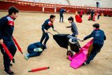 Zachycuje školu, ve které se děti učí základy býčích zápasů.