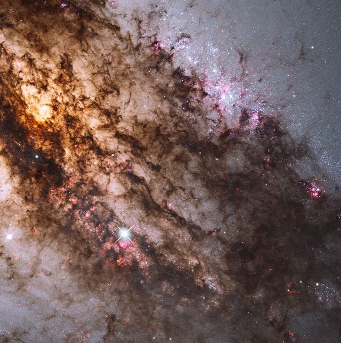 Firestorm of Star Birth in the Active Galaxy Centaurus A Resembling looming rain clouds on a stormy day, dark lanes of dust crisscross the giant elliptical galaxy Centaurus A. Credit: NASA/ ESA/Hubble Heritage › View unlabeled version Resembling looming rain clouds on a stormy day, dark lanes of dust crisscross the giant elliptical galaxy Centaurus A. Hubble's panchromatic vision, stretching from ultraviolet through near-infrared wavelengths, reveals the vibrant glow of young, blue star clusters and a glimpse into regions normally obscured by the dust. The warped shape of Centaurus A's disk of gas and dust is evidence for a past collision and merger with another galaxy. The resulting shockwaves cause hydrogen gas clouds to compress, triggering a firestorm of new star formation. These are visible in the red patches in this Hubble close-up. At a distance of just over 11 million light-years, Centaurus A contains the closest active galactic nucleus to Earth. The center is home for a supermassive black hole that ejects jets of high-speed gas into space, but neither the supermassive or the jets are visible in this image. This image was taken in July 2010 with Hubble's Wide Field Camera 3.