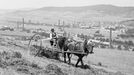 Senoseč - obracení sena v okolí Prahy. Bližší lokalizace neznámá. Rok 1946