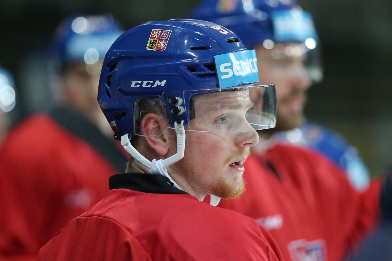 Sraz hokejové reprezentace před MS 2018: David Kaše