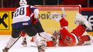 Hokej, MS 2013, Česko - Slovinsko: Ondřej Pavelec - Aleš Kranjc