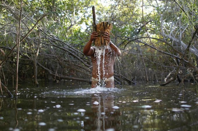 A Yawalapiti man uses branches from the timbo plant to spread natural toxins to paralyse fish and capture them by hand in the Xingu National Park, Mato Grosso State, May 7, 2012. In August the Yawalapiti tribe will hold the Quarup, which is a ritual held over several days to honour in death a person of great importance to them. This year the Quarup will be honouring two people - a Yawalapiti Indian who they consider a great leader, and Darcy Ribeiro, a well-known author, anthropologist and politician known for focusing on the relationship between native peoples and education in Brazil. Picture taken May 7, 2012. REUTERS/Ueslei Marcelino (BRAZIL - Tags: SOCIETY ENVIRONMENT) ATTENTION EDITORS - PICTURE 19 OF 28 FOR PACKAGE 'LIFE WITH THE YAWALAPITI TRIBE' Published: Kvě. 15, 2012, 5:11 odp.