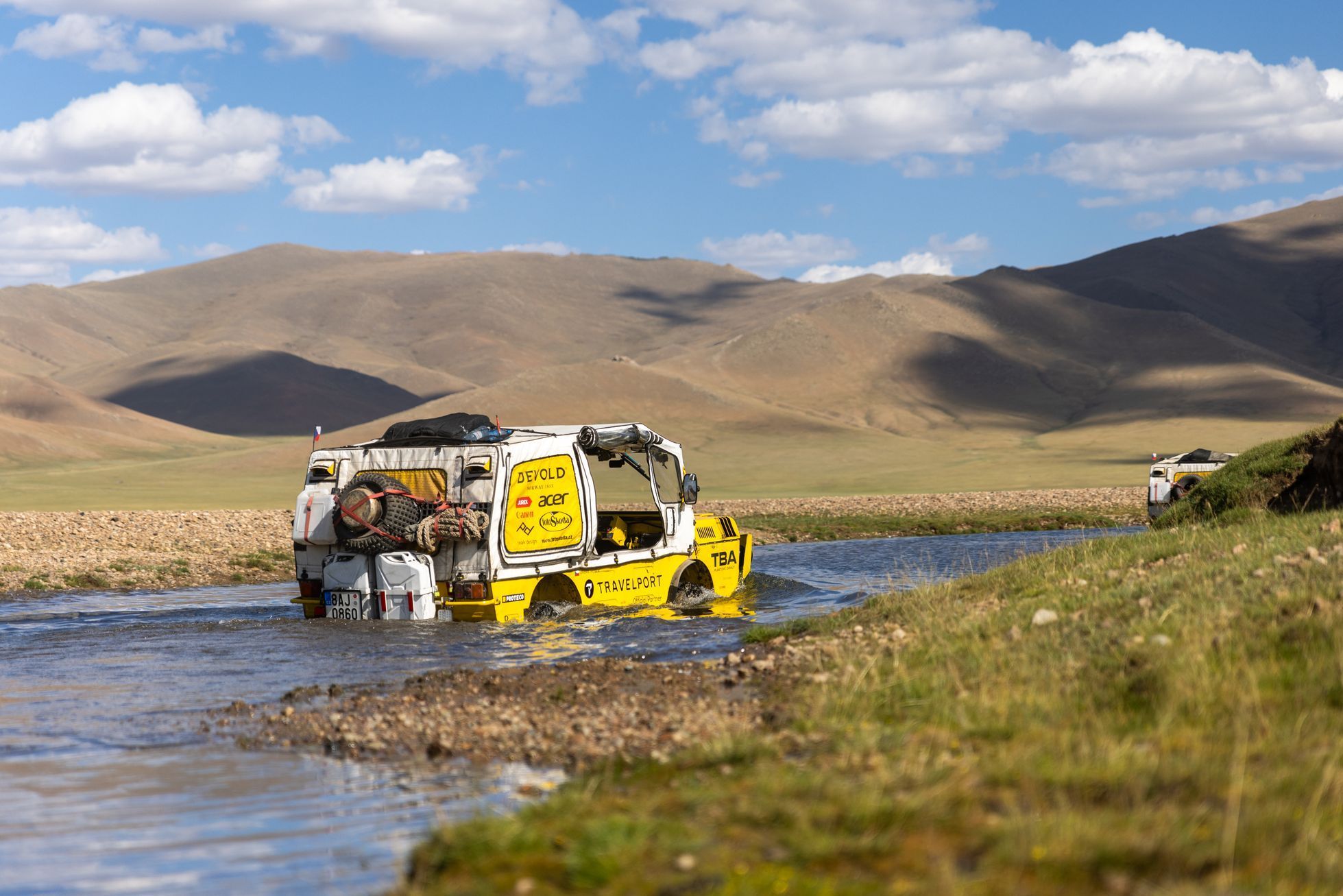 Žlutá žába pluje